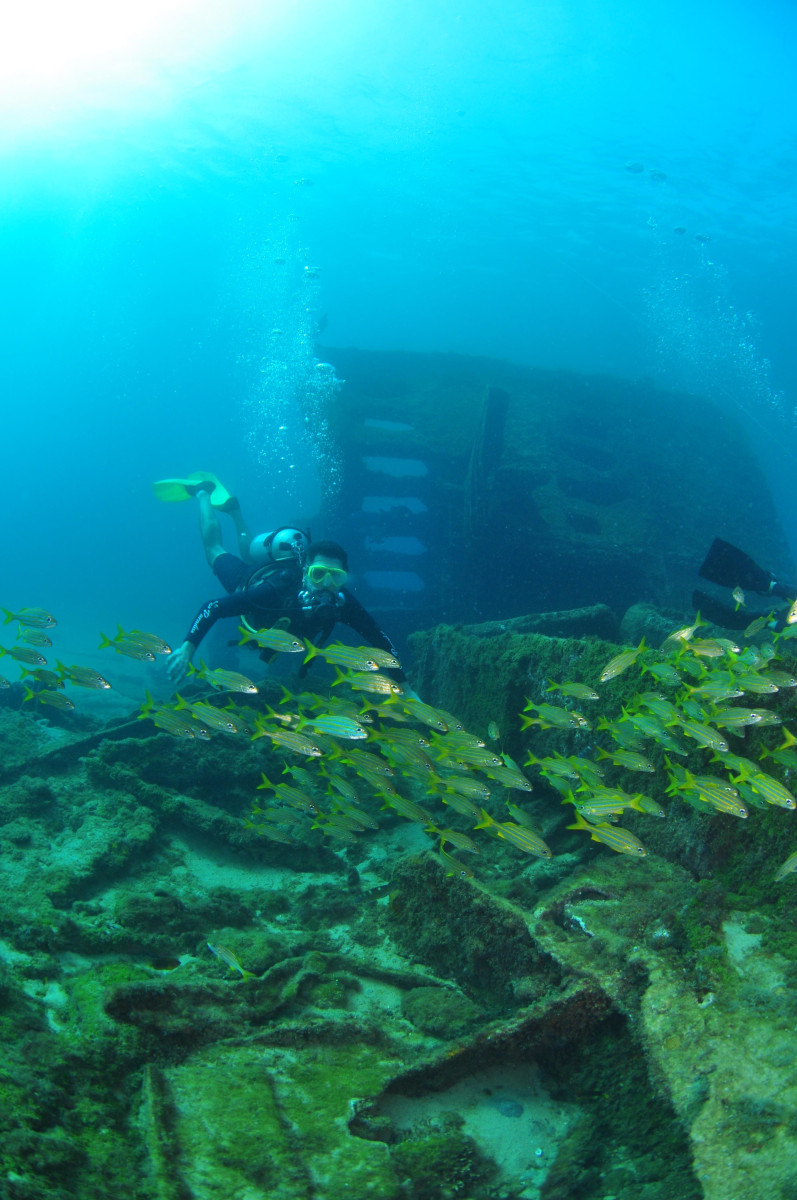 fernando de noronha