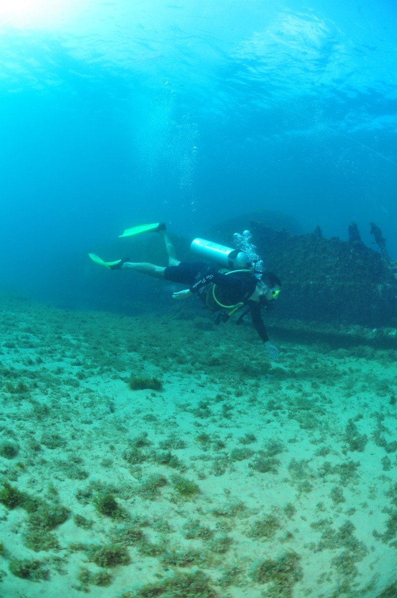 fernando de noronha