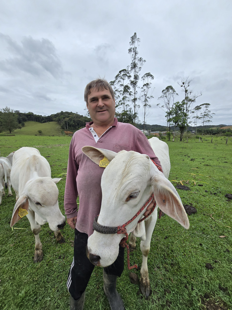 quinta-feira