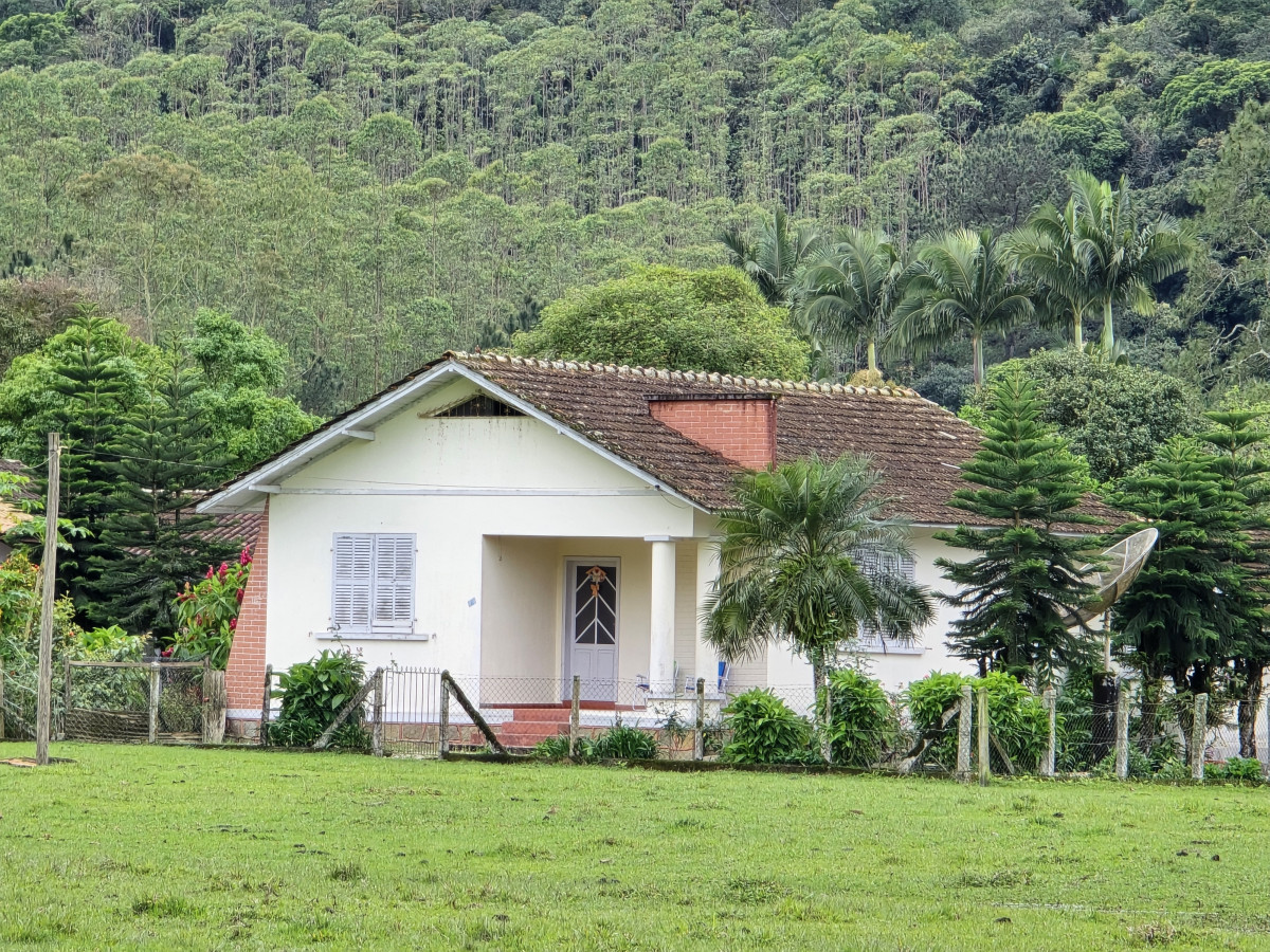 quinta-feira