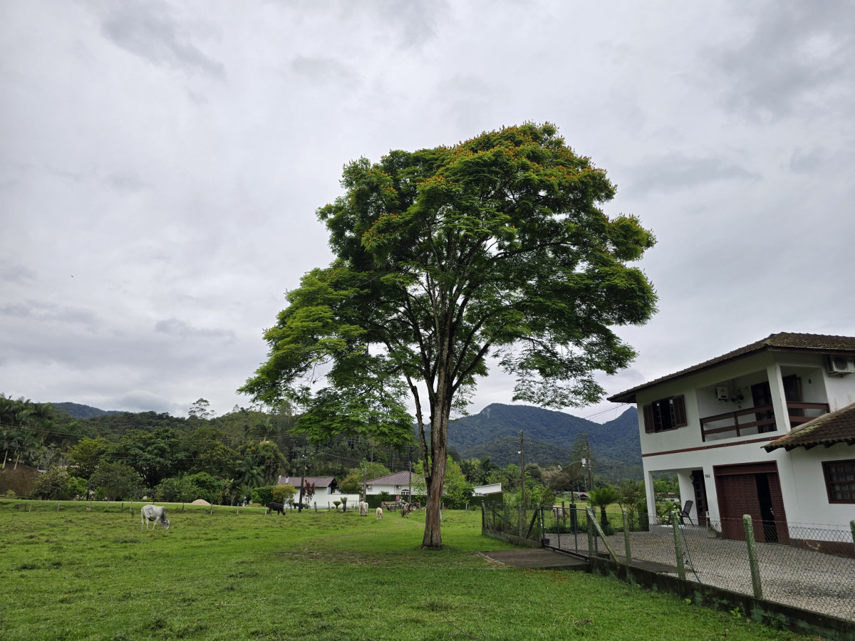 quinta-feira