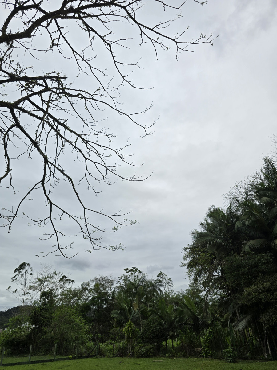 quinta-feira