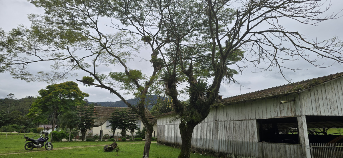 quinta-feira