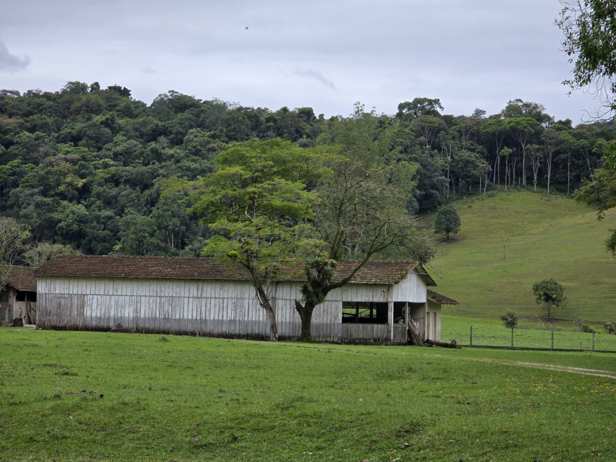 quinta-feira