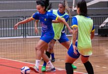 Barateiro Havan Futsal LFF