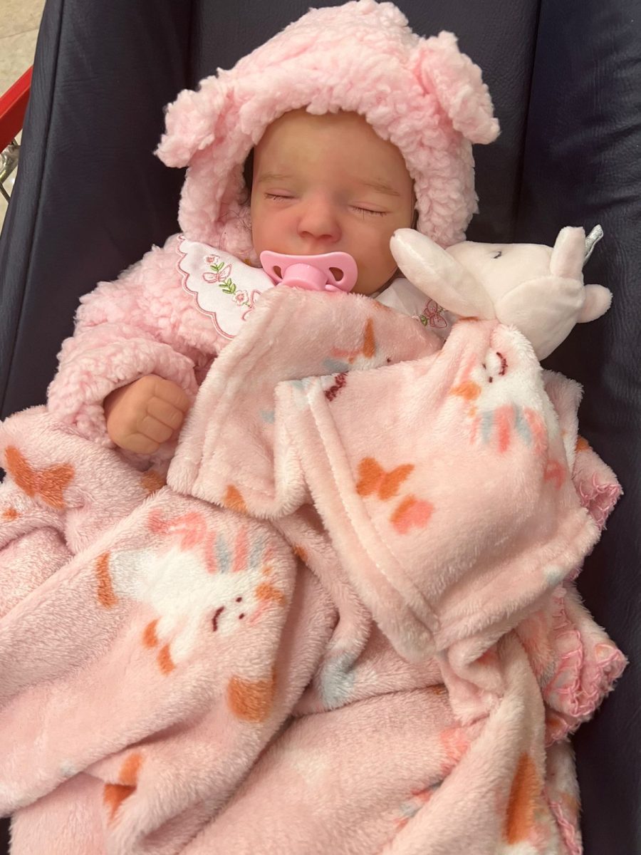 Bebê reborn