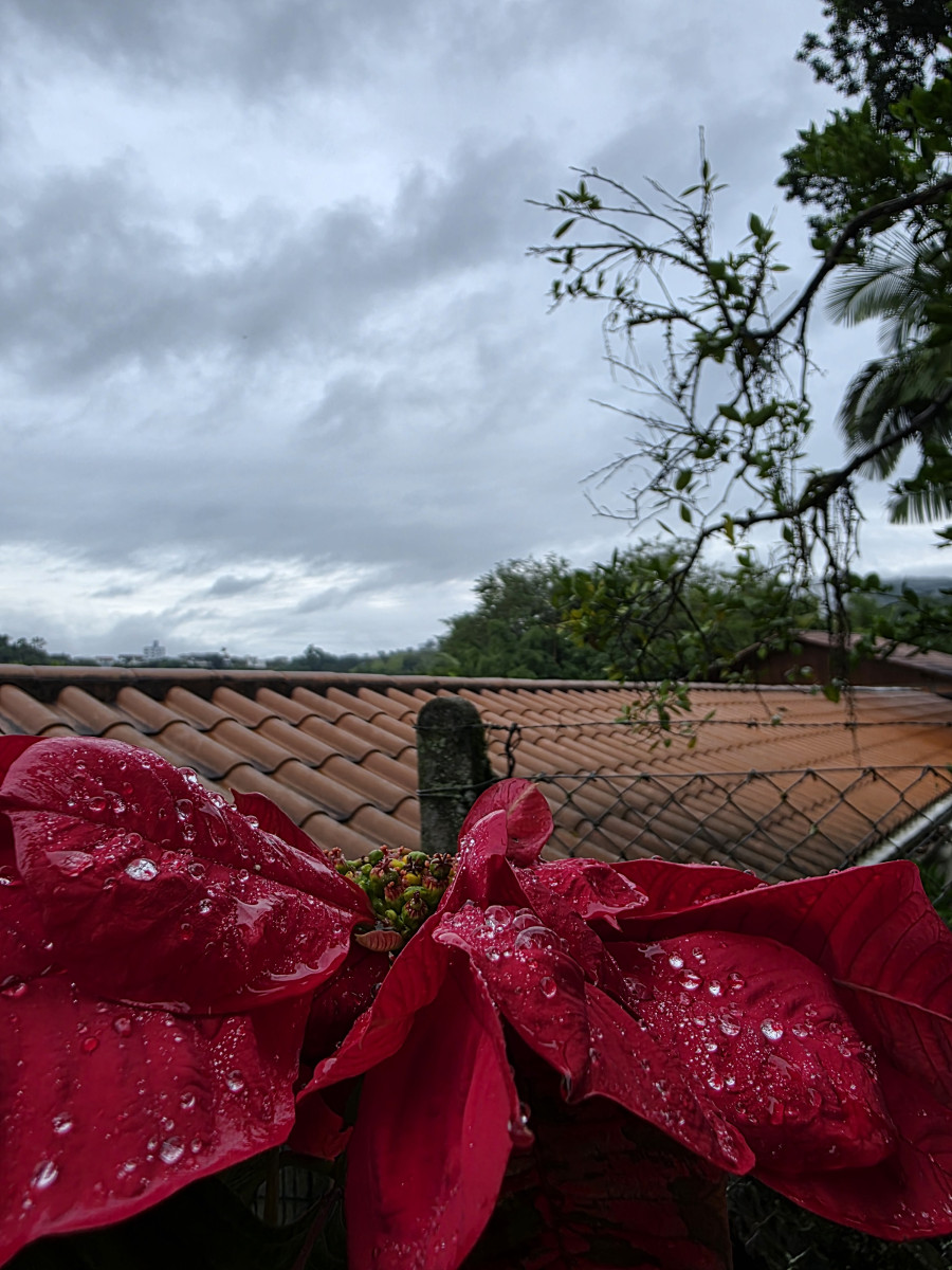 chuva