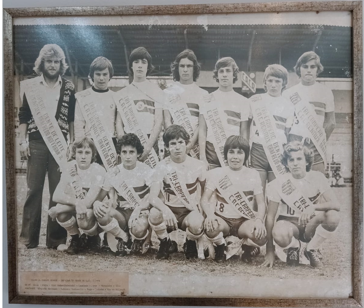 Carlos Renaux Dente de Leite