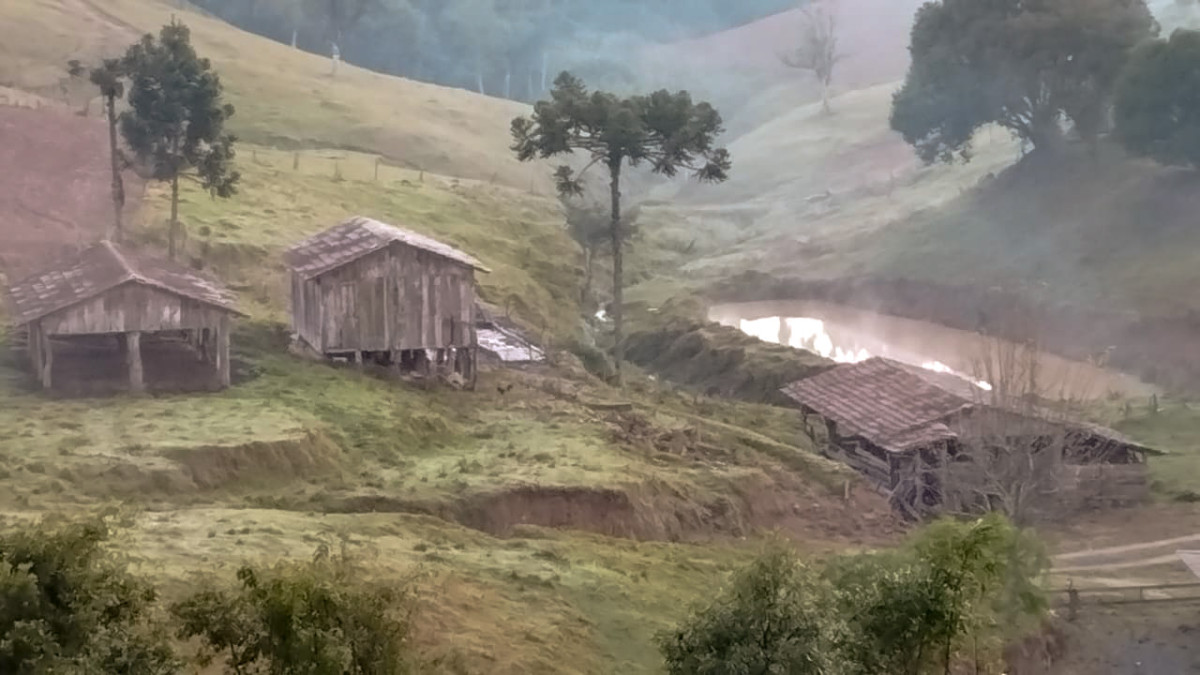 frio