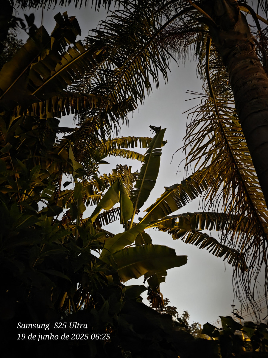 chuva