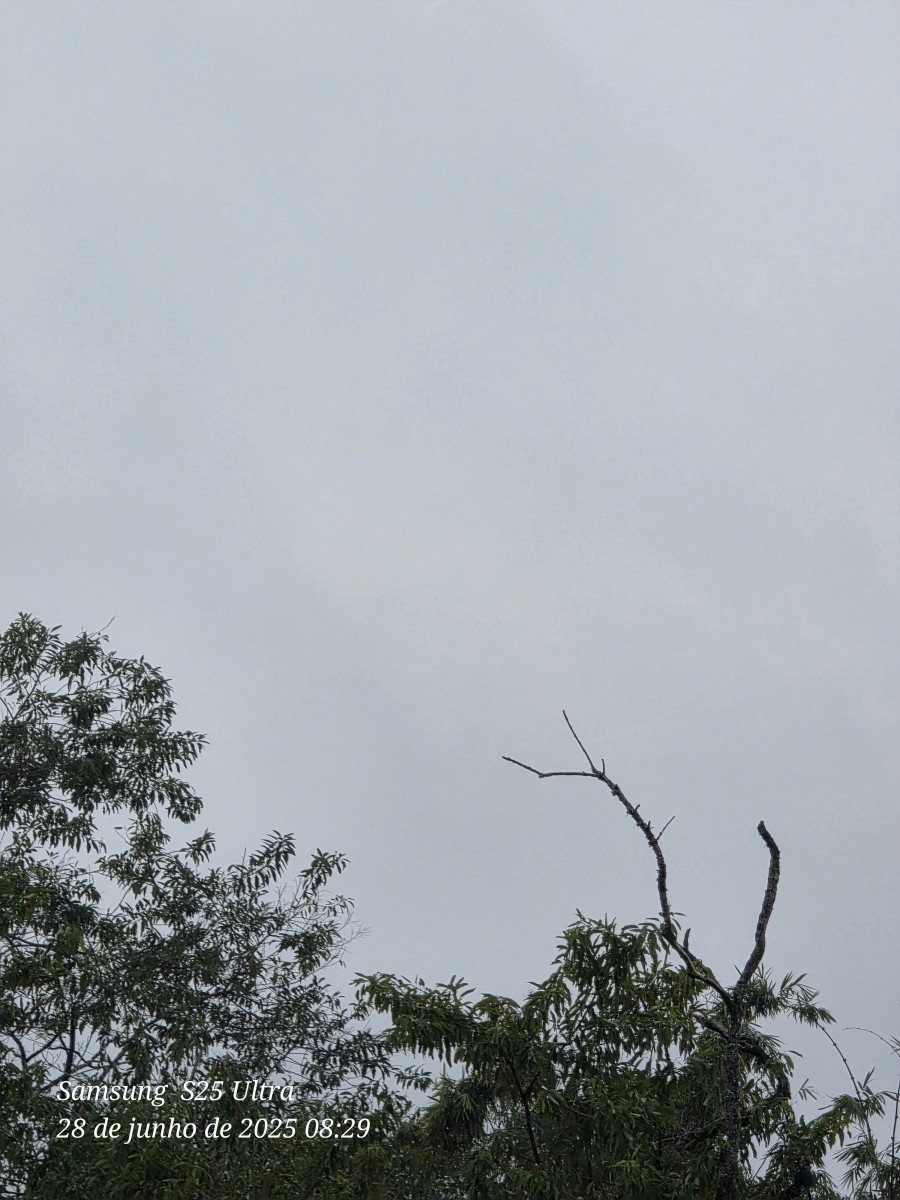 frio