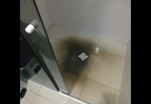 Limeira