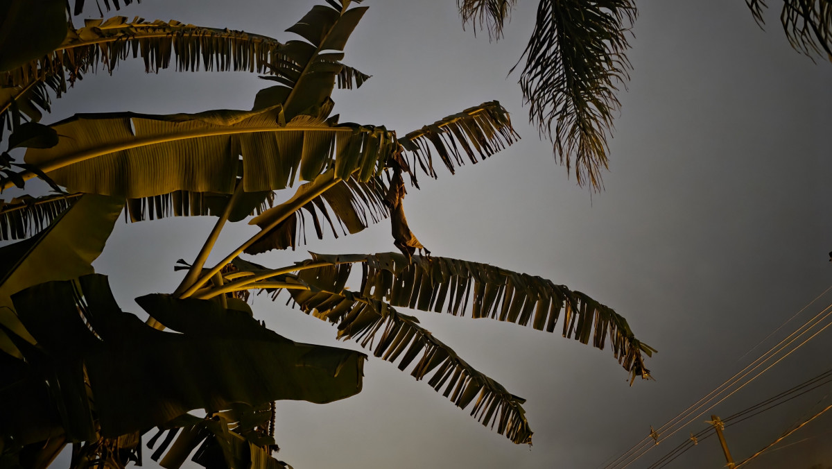 chuva