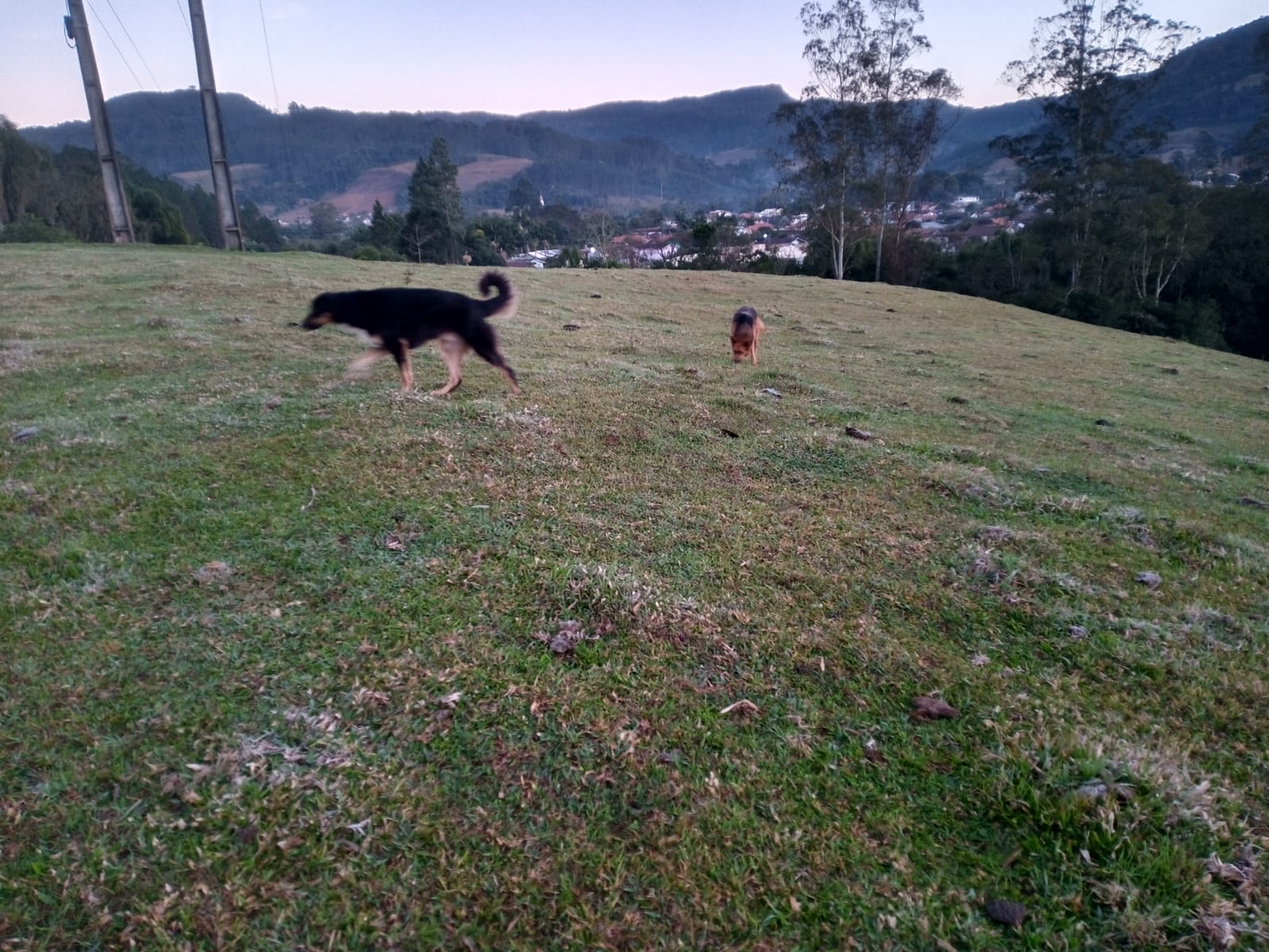 frio