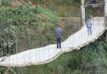 Ponte da Cristalina
