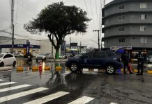 rotatória da figueira