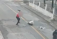 Ataque de cachorro