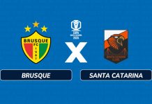 Brusque x Santa Catarina ao vivo tempo real minuto a minuto lance a lance Copa SC