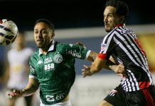 Anápolis Brusque 12 jogadores Série C