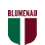 Blumenau Copa SC