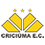Criciúma Copa SC