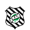 Figueirense Copa SC