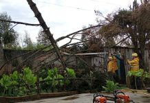 Mais de 40 municípios catarinenses são atingidos por fortes chuvas fortes chuvas