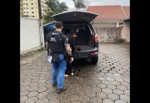 Mulher condenada por matar o ex-namorado é presa em Brusque Brusque