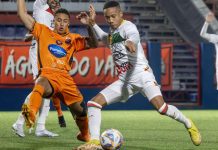 Brusque Santa Catarina Copa SC