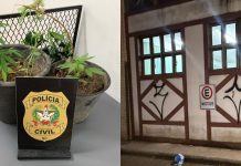 Delegado da DIC detalha operação contra pichadores em Brusque; confira imagens da ação