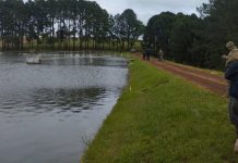 Homem morre após assalto e troca de tiros em fazenda do Oeste catarinense homem