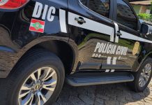 Homem suspeito de furtar 19 ovelhas em Brusque é preso em Camboriú ovelhas