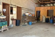 Mulher que acionou polícia durante assalto a cancha em Brusque relata momentos do crime Brusque