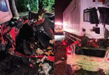 Três homens morrem após grave colisão entre carro e caminhão na BR-470