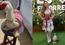 VÍDEO – Moradora de Brusque surpreende ao passear com pato vestido de “fritz” na Fenarreco Ganso