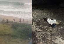 Homem desaparecido é encontrado boiando em praia de Itapema boiando em praia