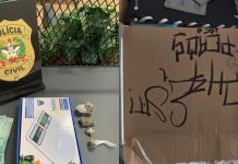 Pichador com mais de R$ 60 mil em multas preso por tráfico é solto após audiência de custódia, em Brusque