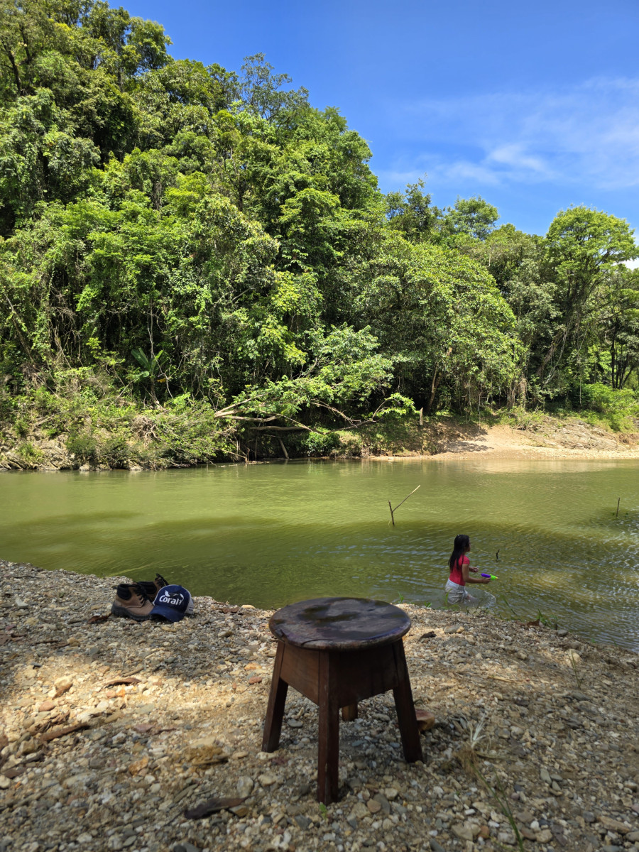 verão