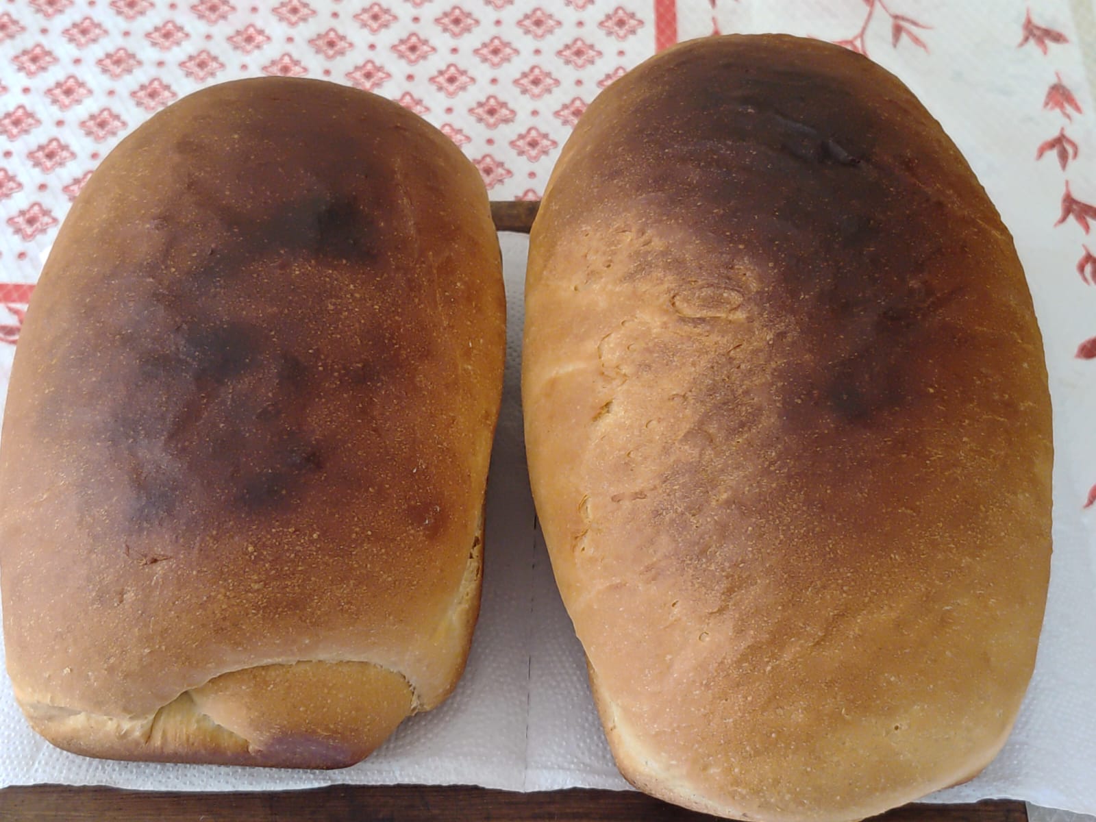 botuverá