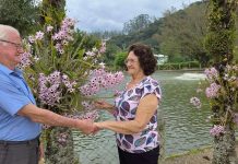 Brusque floresce com o encanto do olho-de-boneca da família Voss