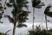 Ciclone sobre o mar: o que muda no tempo em Brusque nesta quarta-feira