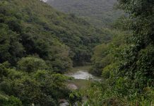 Defesa Civil se manifesta após TCE-SC suspender licitação da barragem de Botuverá barragem de Botuverá