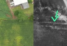 Drone com câmera térmica sobrevoa área rural e localiza homem desaparecido no Oeste de SC