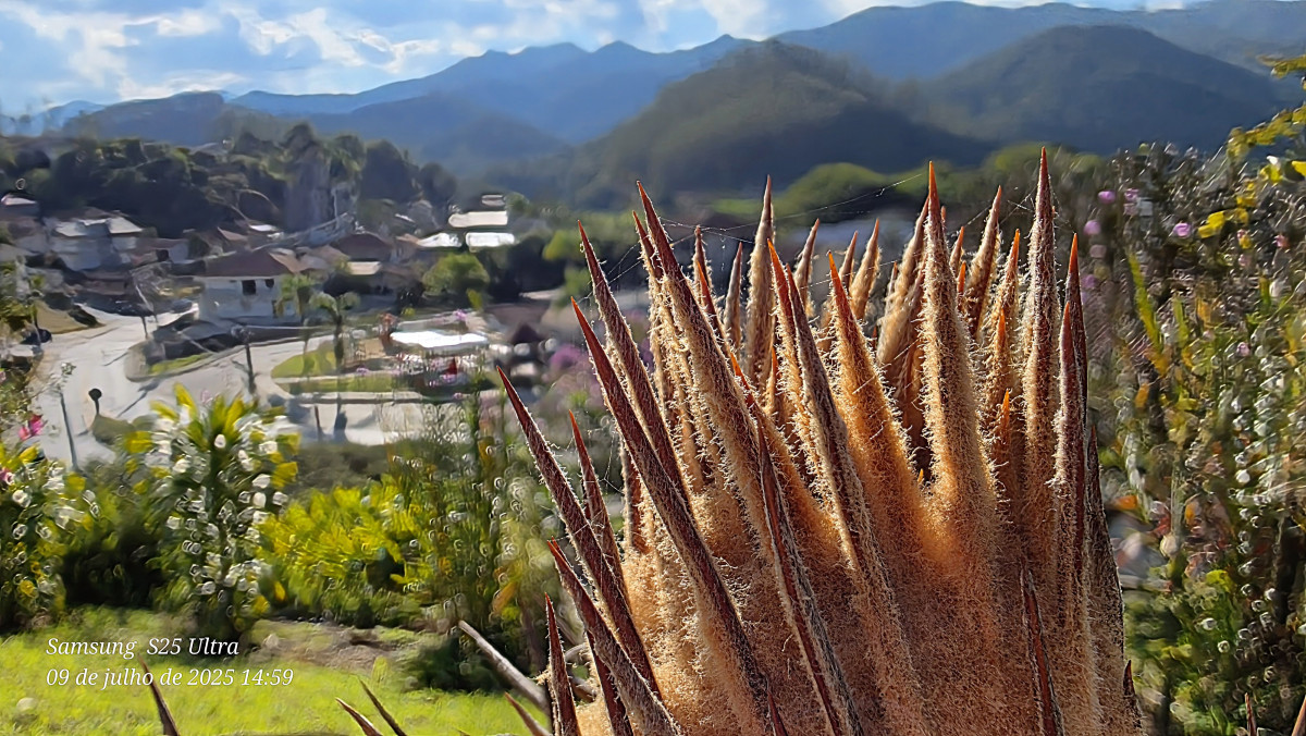 botuverá