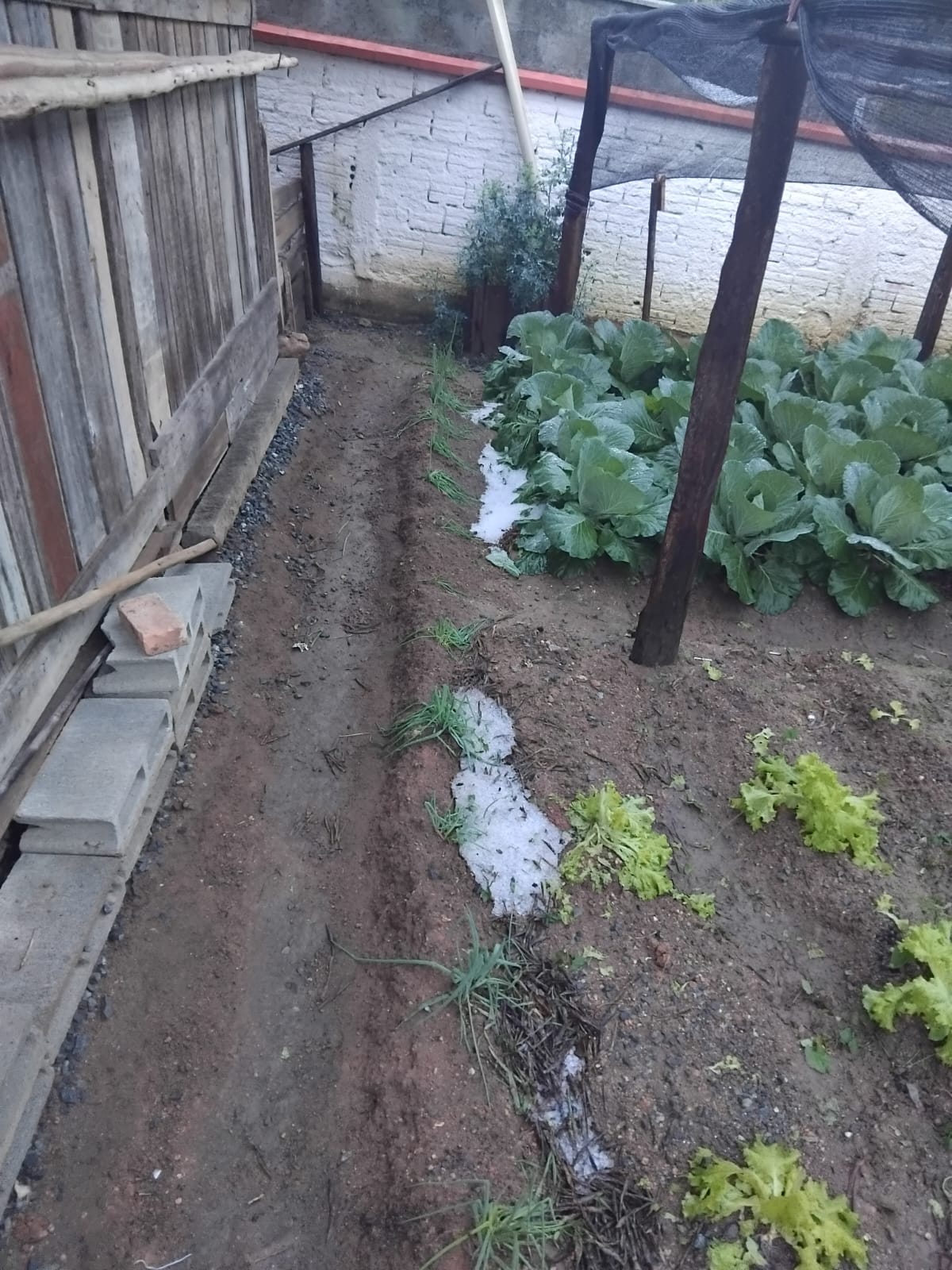 granizo