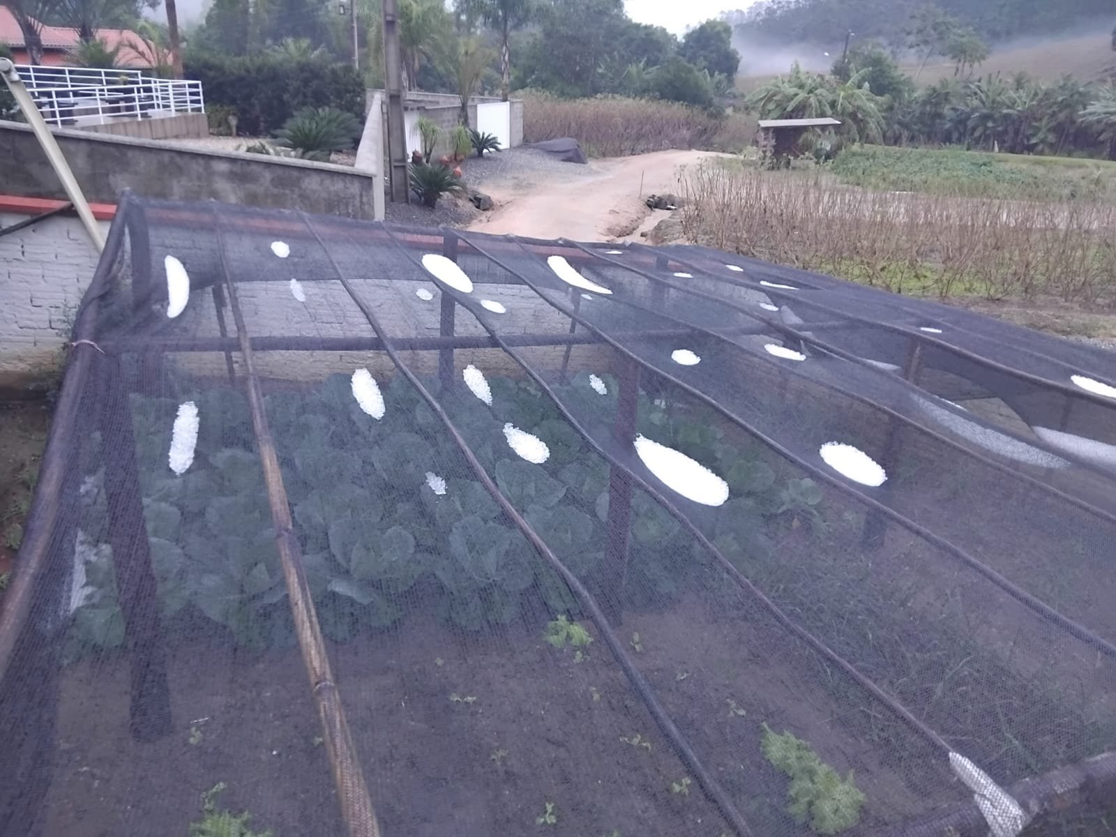 granizo