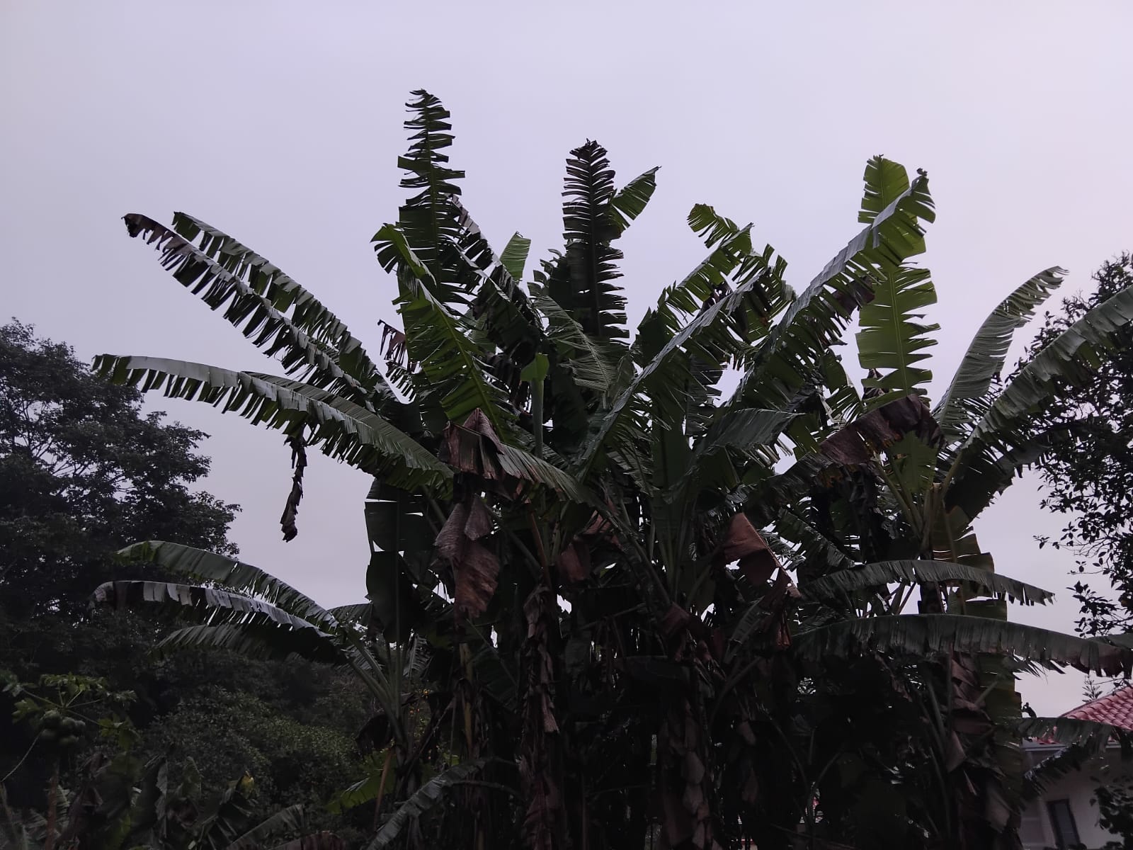 granizo