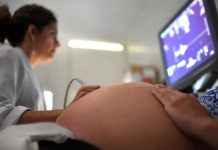 Câmara aprova projeto que garante aos pais direito de sepultarem fetos natimortos em Brusque