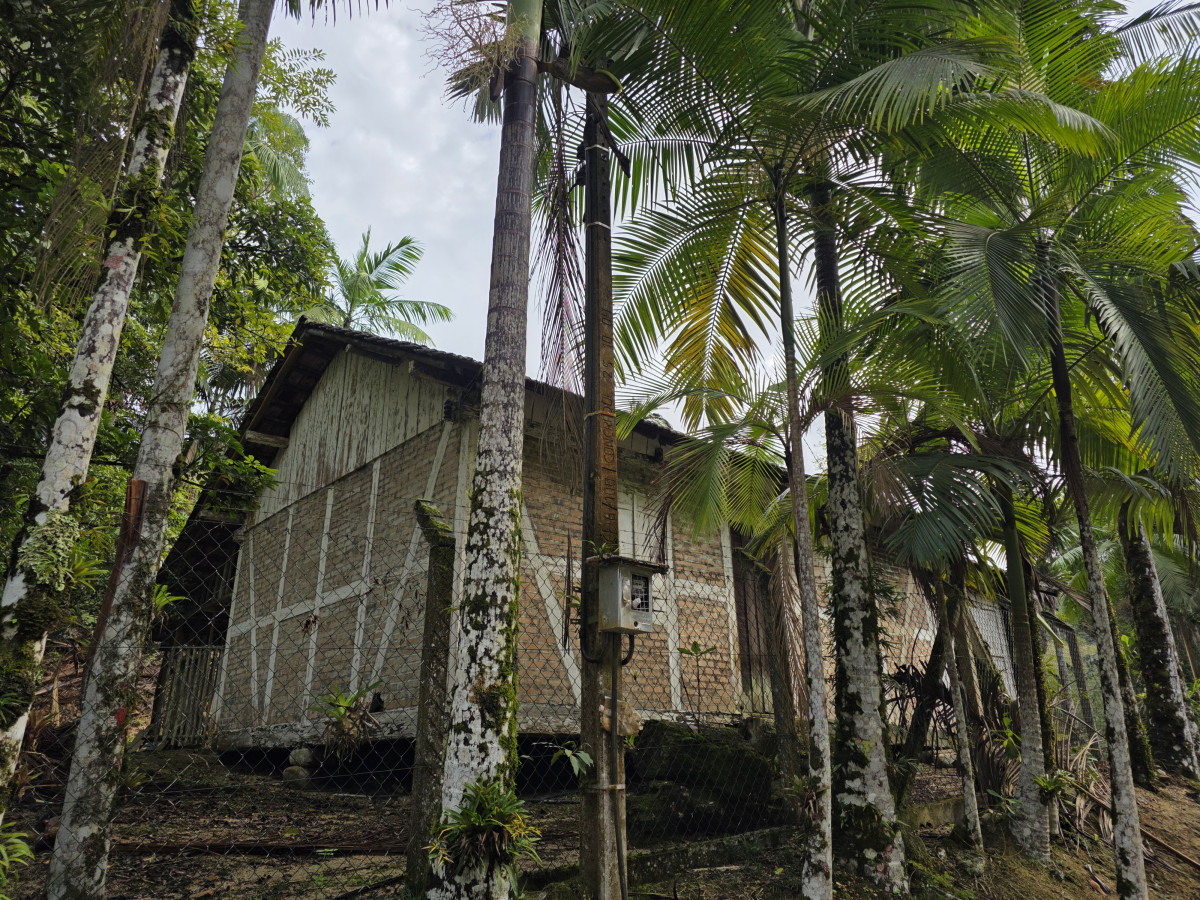 guabiruba