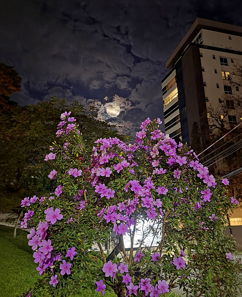 lua